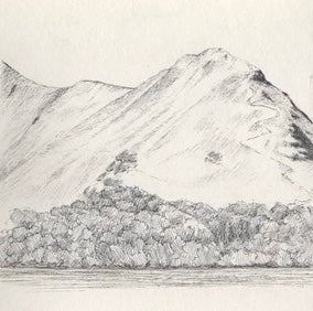 Subscribe to Carl's Wandering Artist Art Club