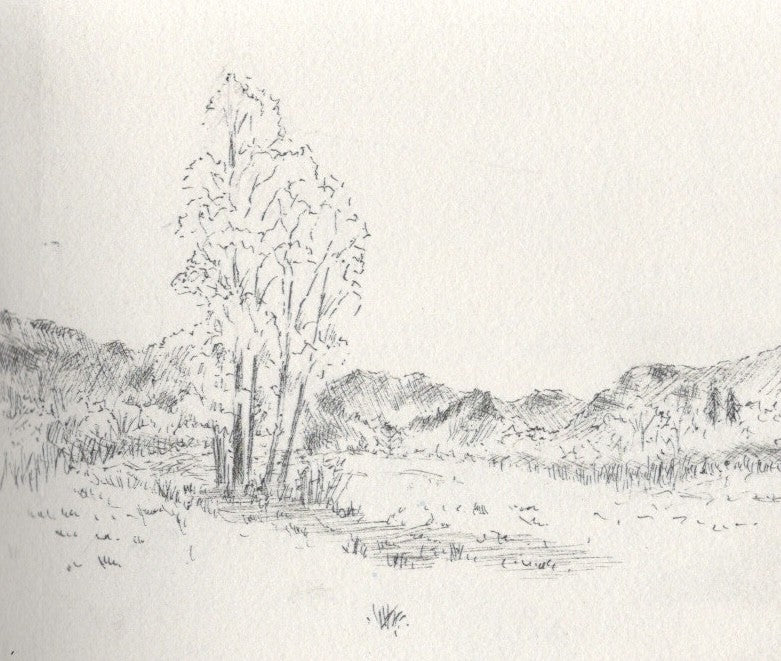 Subscribe to Carl's Wandering Artist Art Club