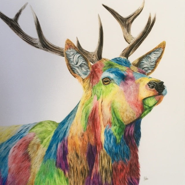 Colour Splash Glen - A brightly coloured Red Stag Giclee print