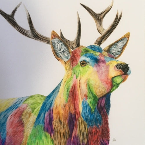 Colour Splash Glen - A brightly coloured Red Stag Giclee print