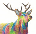 Colour Splash Glen - A brightly coloured Red Stag Giclee print
