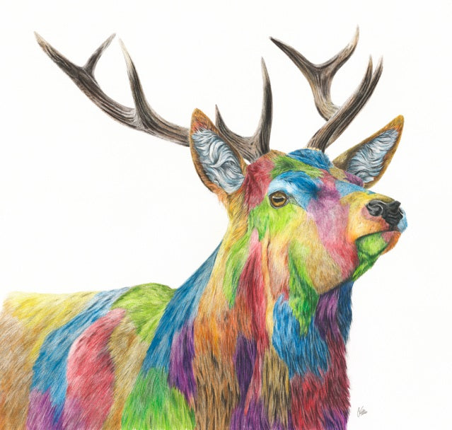 Colour Splash Glen - A brightly coloured Red Stag Giclee print