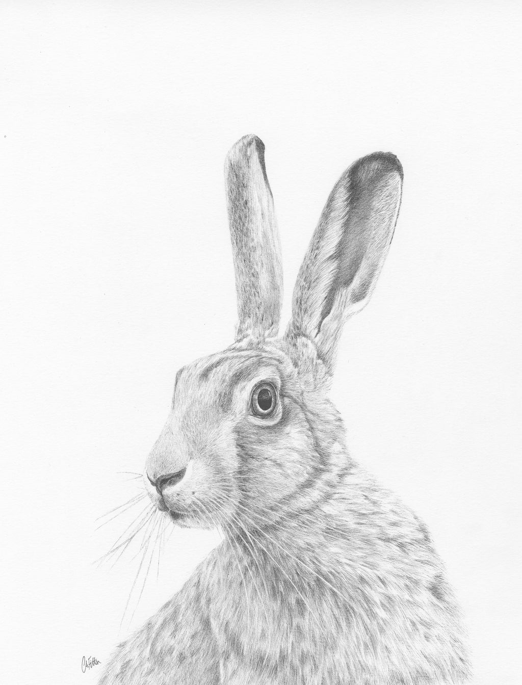 All Ears