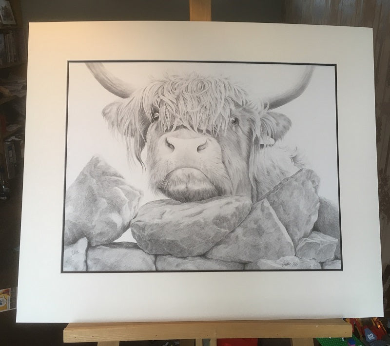 Highland Cow  'Nosey II'- Limited Edition Giclee Print