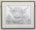 Highland Cow  'Nosey II'- Limited Edition Giclee Print