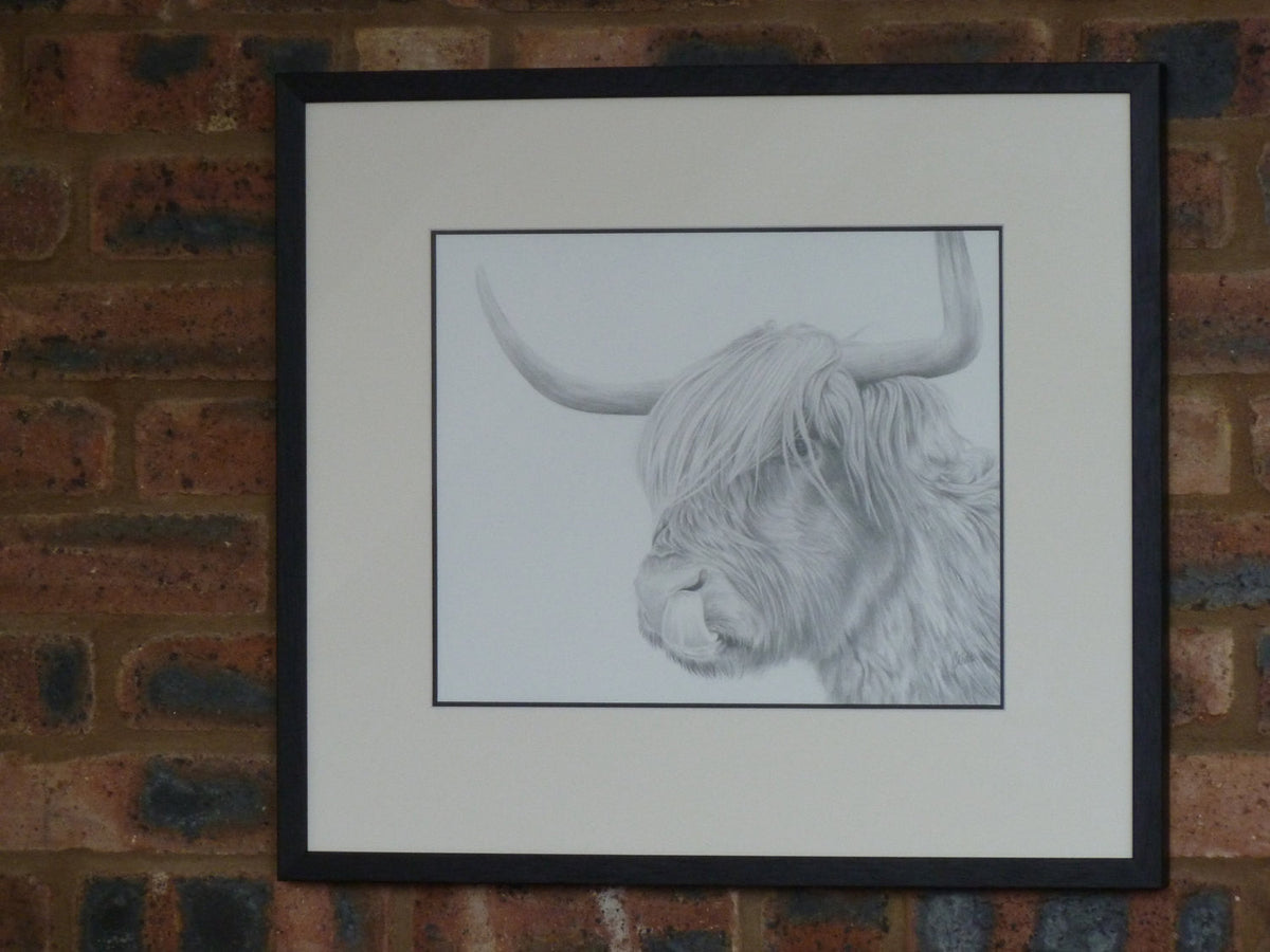 Highland Cow  'Rude MacDude' Limited Edition Giclee Print