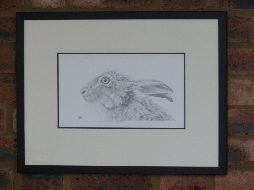 Hare 'Scruffy' - Limited Edition Giclee Print