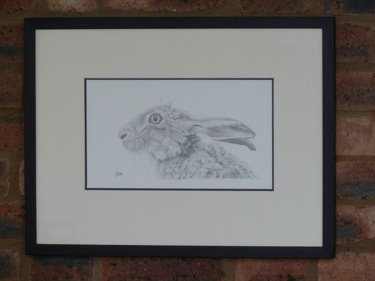 Hare 'Scruffy' - Limited Edition Giclee Print