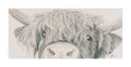 Highland Cow  'Nosey'- Limited Edition Giclee Print