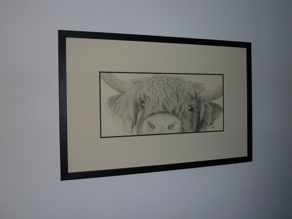 Highland Cow  'Nosey'- Limited Edition Giclee Print