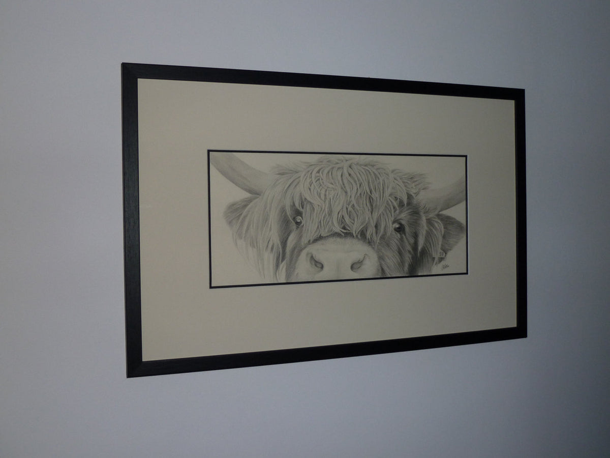 Highland Cow  'Nosey'- Limited Edition Giclee Print