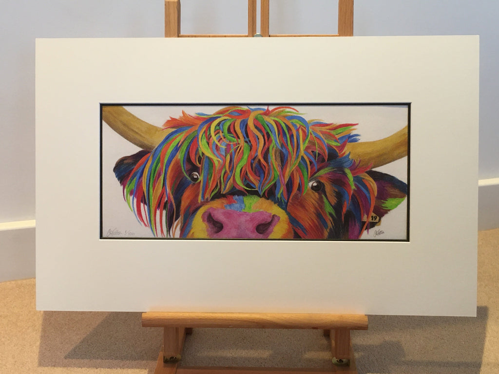 Colour Splash 'Nosey' the Highland cow - Limited Edition Giclee Print