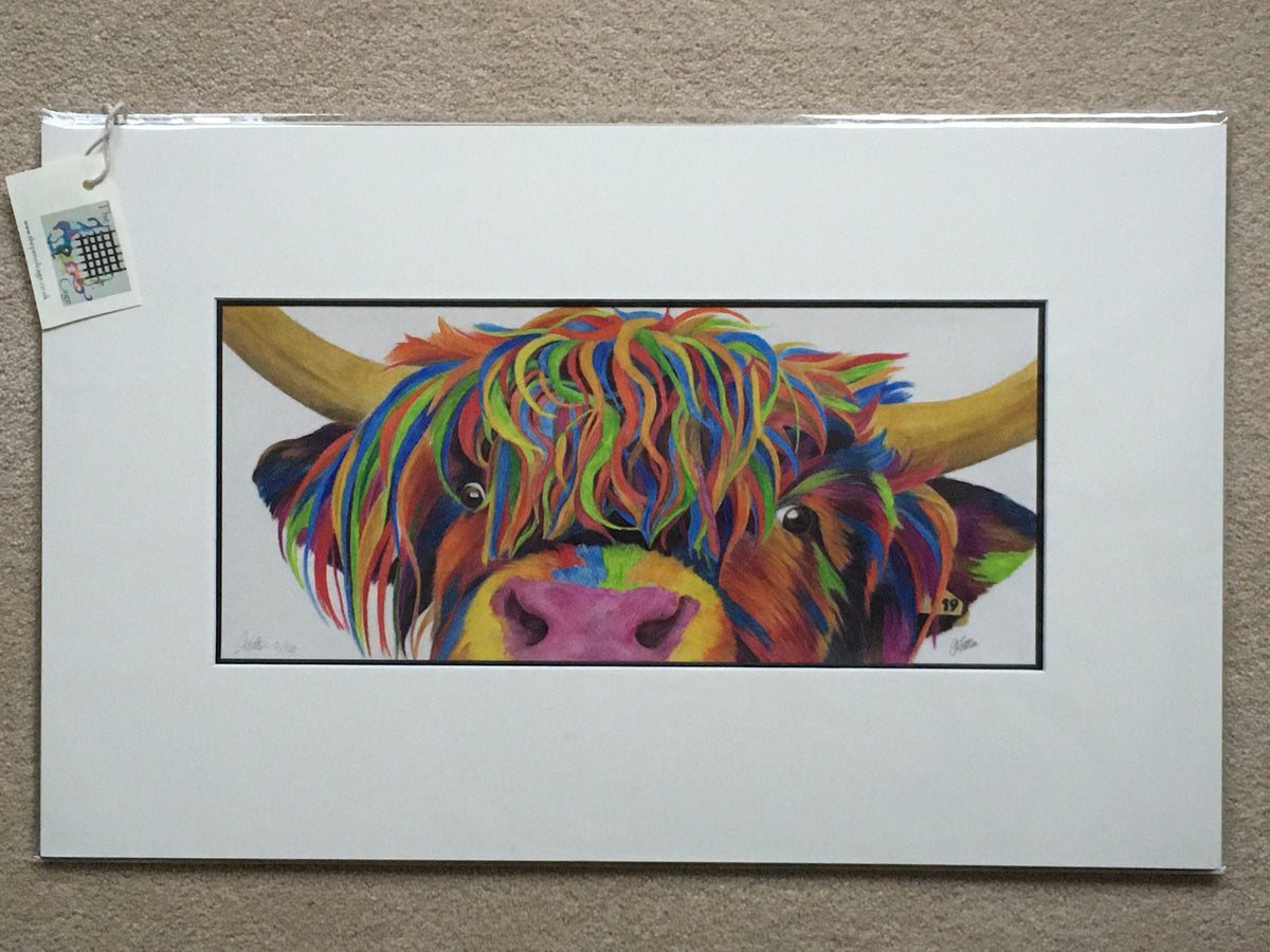 Colour Splash 'Nosey' the Highland cow - Limited Edition Giclee Print