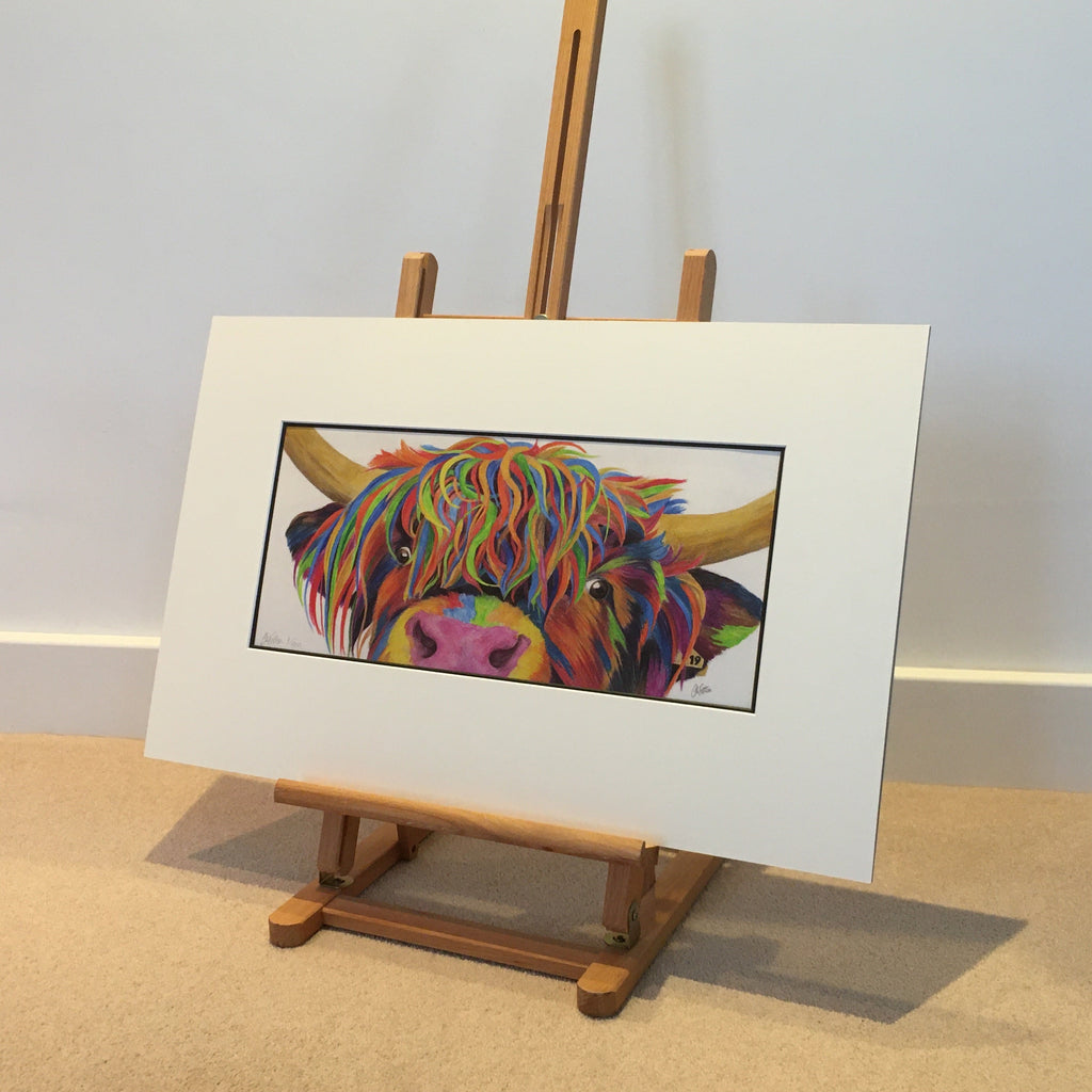 Colour Splash 'Nosey' the Highland cow - Limited Edition Giclee Print