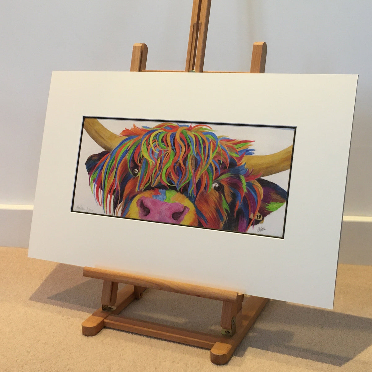 Colour Splash 'Nosey' the Highland cow - Limited Edition Giclee Print