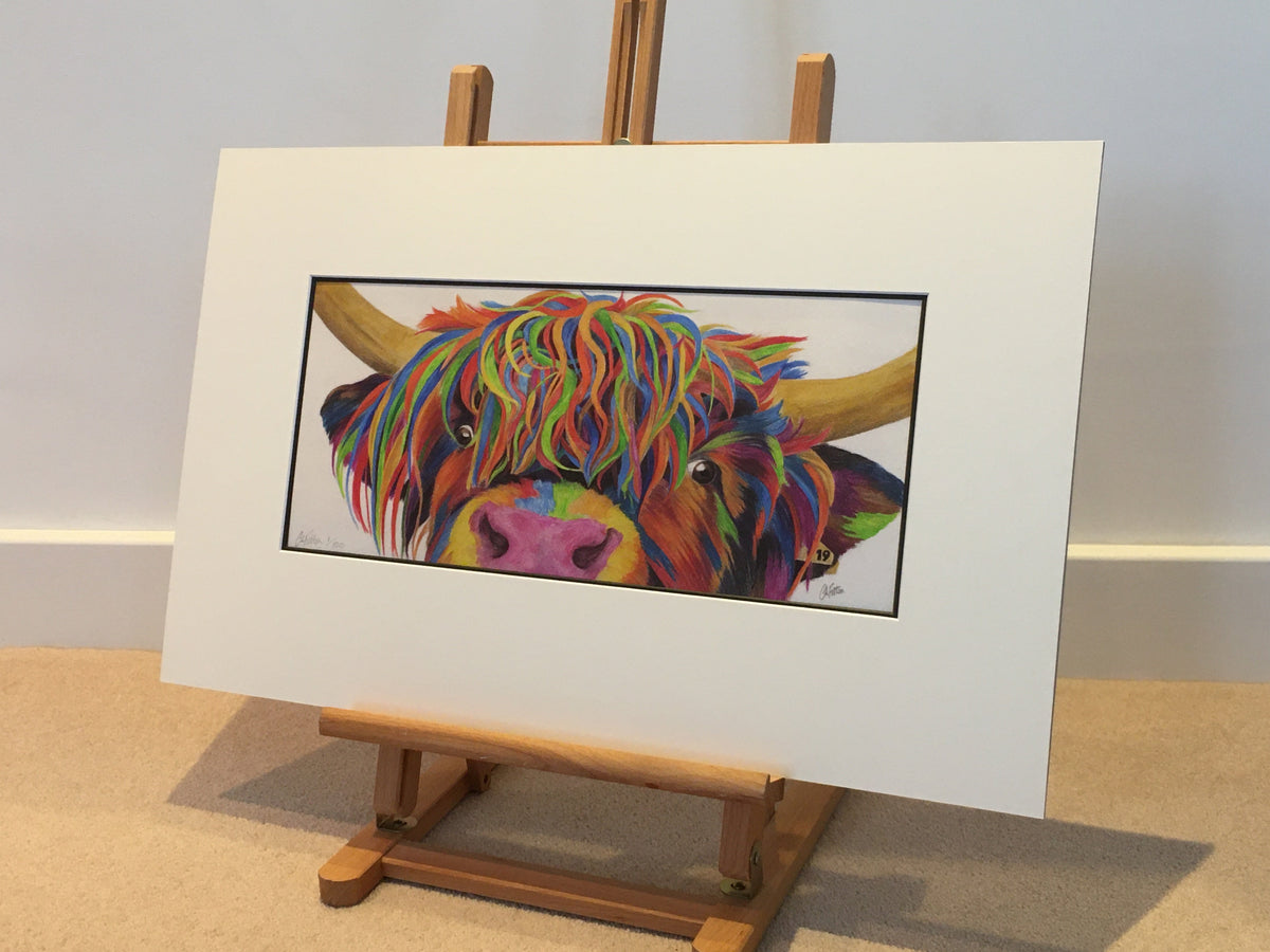Colour Splash 'Nosey' the Highland cow - Limited Edition Giclee Print