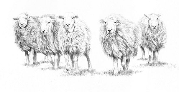 The Magnificent Seven -Limited Edition Giclee Print