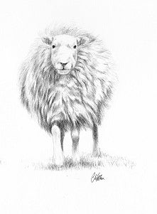 The Magnificent Seven -Limited Edition Giclee Print