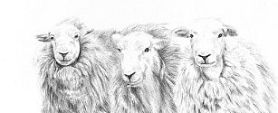 The Magnificent Seven -Limited Edition Giclee Print