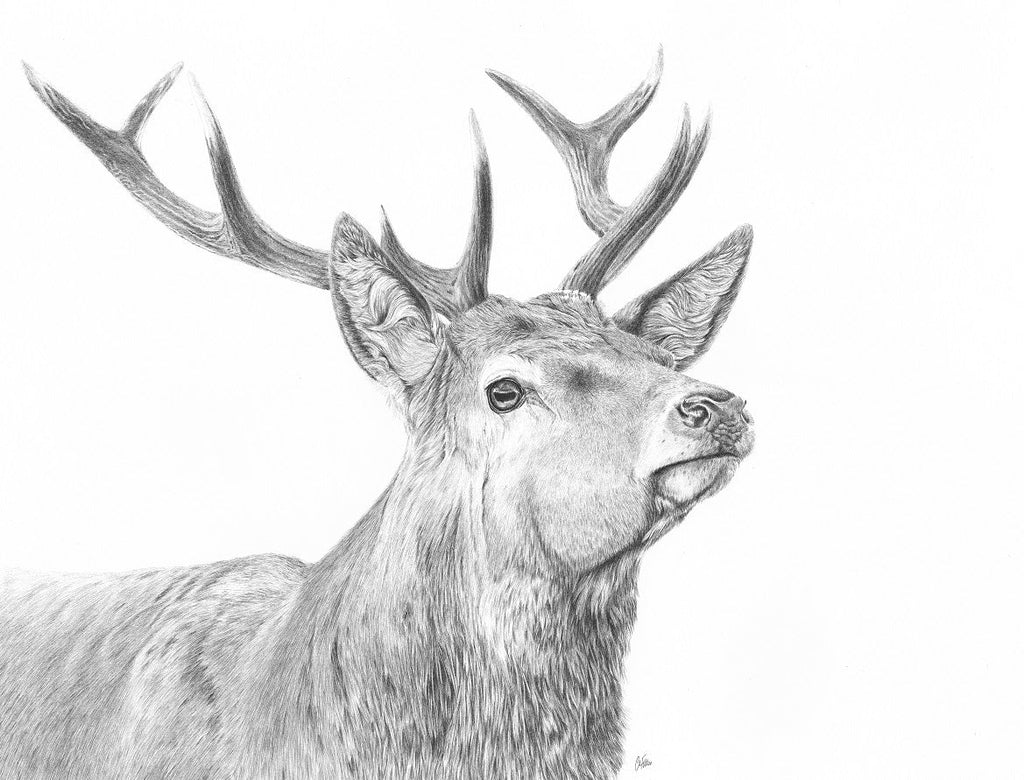 Glen - Limited Edition Giclee Print