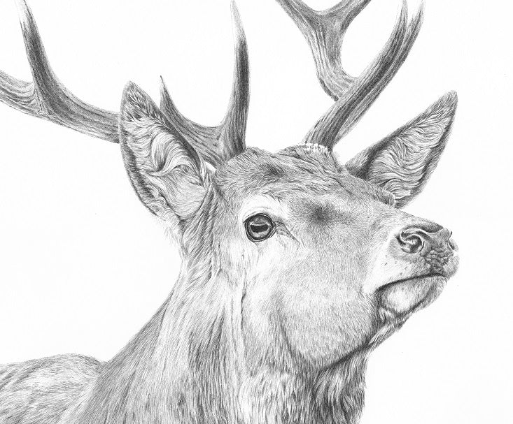 Glen - Limited Edition Giclee Print