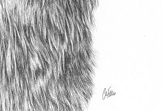 Glen - Limited Edition Giclee Print